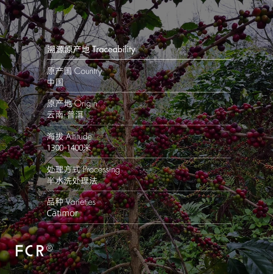 FCR掛耳咖啡精品 雲南普洱咖啡 一點就到家無蔗糖純黑咖啡粉20杯