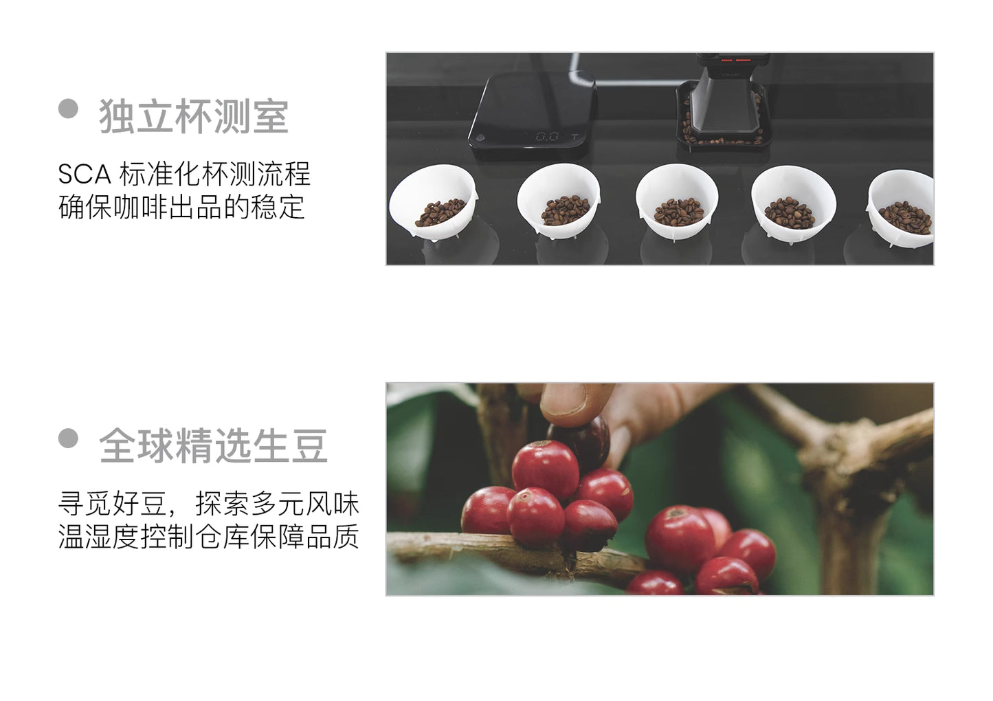 coxxee太妃糖 香甜平衡意式拼配咖啡豆 新鲜烘焙200g